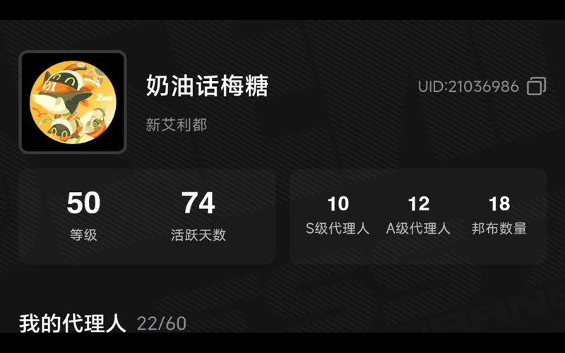 绝区零 玩家档案封面